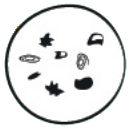 étape 1